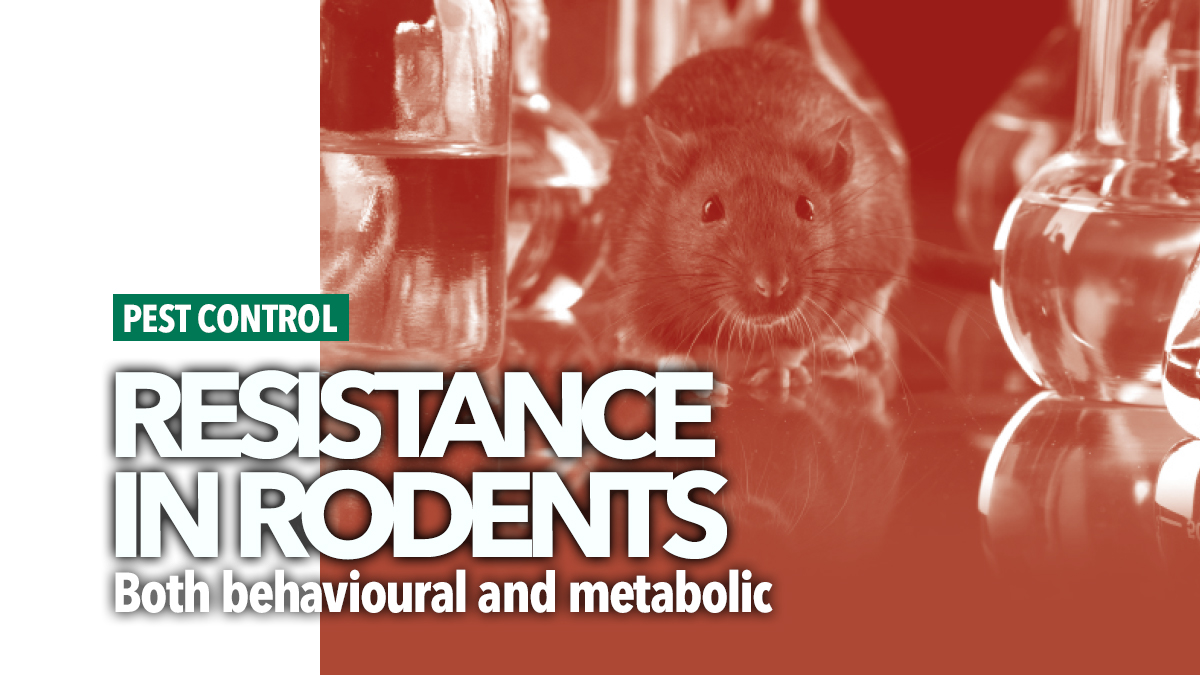 763 resistance in rodents mike ayers precision pest5 763 resistance in rodents mike ayers precision pest5
